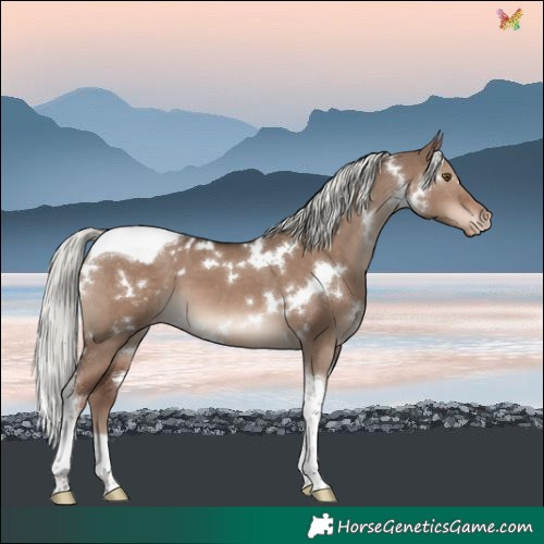 Horse Color:White Spotted Liver Red Dun Mushroom Tobiano Varnish
