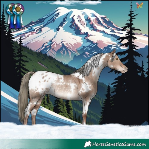 Horse Color:White Spotted Liver Red Dun Mushroom Appaloosa Rabicano 