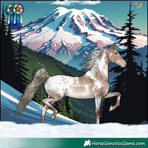 Horse Color:White Spotted Liver Red Dun Mushroom Appaloosa Rabicano