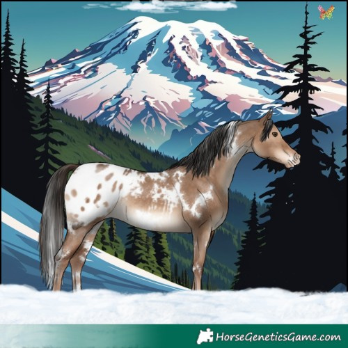 Horse Color:White Spotted Liver Red Dun Appaloosa Rabicano 