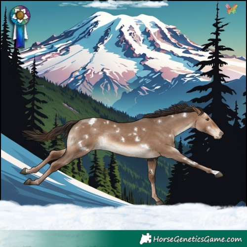 Horse Color:White Spotted Liver Red Dun Appaloosa Rabicano
