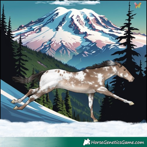 Horse Color:White Spotted Liver Red Dun Appaloosa Rabicano 