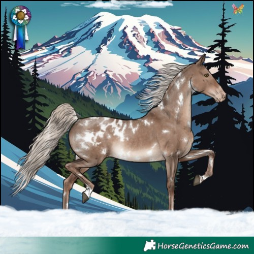 Horse Color:White Spotted Liver Red Dun Mushroom Appaloosa Rabicano