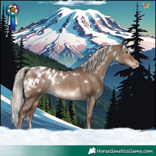Horse Color:White Spotted Liver Red Dun Mushroom Appaloosa Rabicano 
