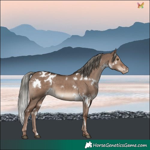 Horse Color:White Spotted Liver Red Dun Mushroom Blanket 