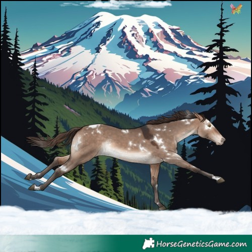 Horse Color:White Spotted Bay Dun Mushroom Appaloosa Rabicano 