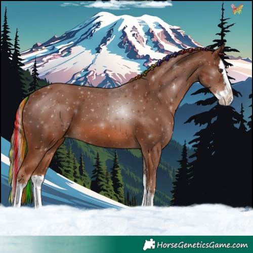Horse Color:Painted Chestnut Sabino Splash Appaloosa 