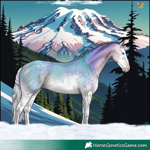 Horse Color:Watercolor White Spotted Silver Amber Cream Champagne Sabino Splash Appaloosa 