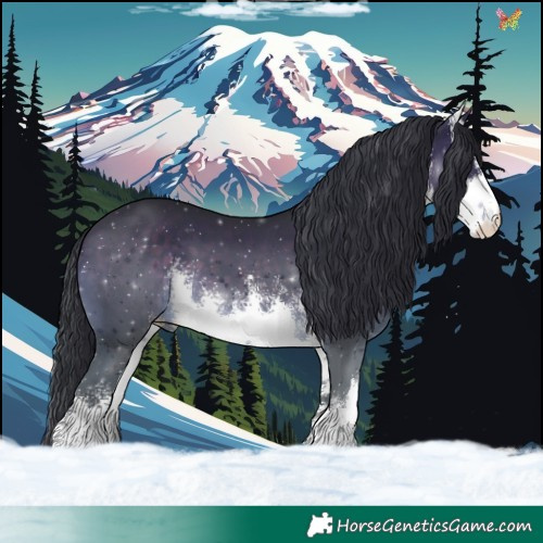 Horse Color:White Spotted Brown 