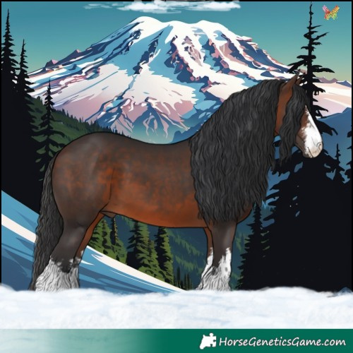 Horse Color:White Spotted Brown 
