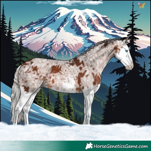 Horse Color:White Spotted Silver Bay Ice Splash 