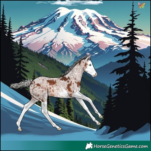 Horse Color:White Spotted Silver Bay Ice Splash 