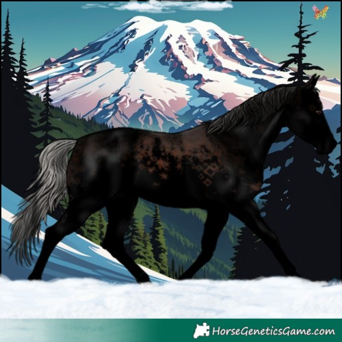 Horse Color:Void White Spotted Silver Brown Splash 