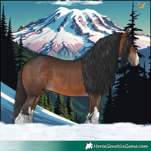 Horse Color:White Spotted Brown 