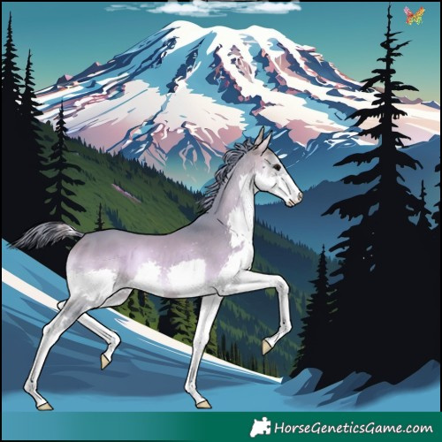 Horse Color:Watercolor White Spotted Bay Onyx Splash 