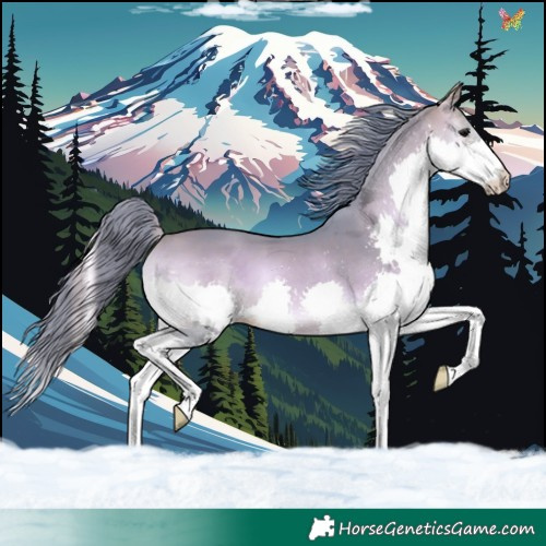 Horse Color:Watercolor White Spotted Bay Onyx Splash 