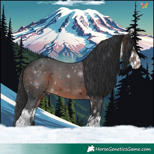 Horse Color:White Spotted Brown