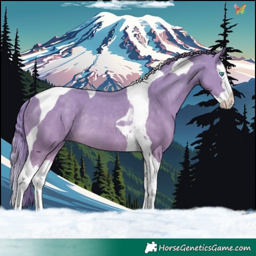 Horse Color:Perlino Splash Tobiano Rabicano 