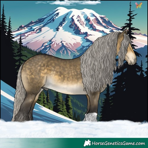 Horse Color:Silver Buckskin Dun