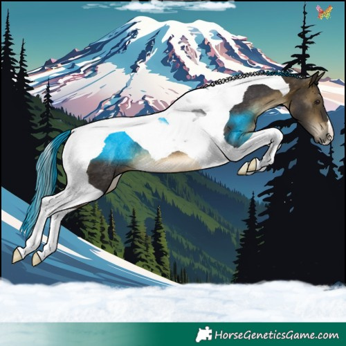 Horse Color:Buckskin Tobiano Rabicano 
