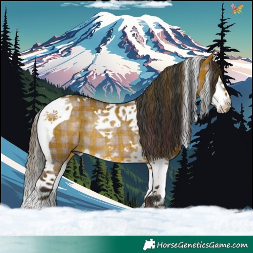 Horse Color:Plaid  Brown Dun Splash Tobiano Rabicano 