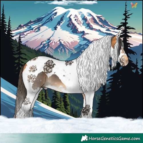 Horse Color:Buckskin Splash Tobiano 