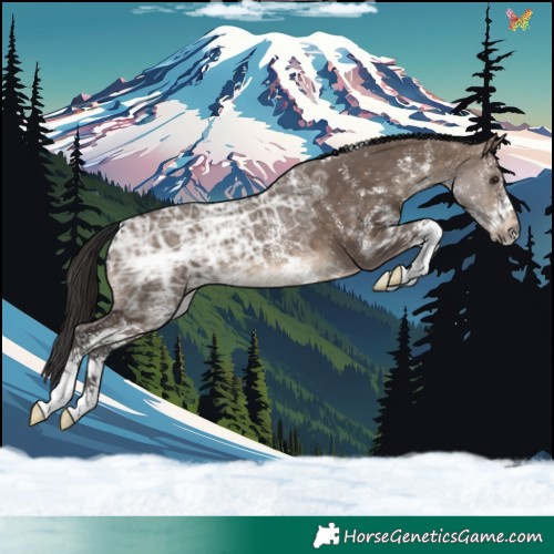 Horse Color:White Spotted Brown Ice Dun 
