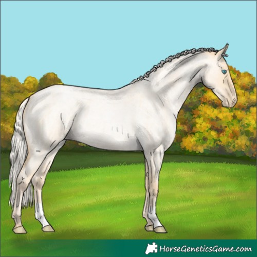 Horse Color:Silver Buckskin Roan Pearl Dun 
