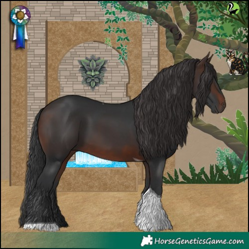 Horse Color:Brown Tobiano 