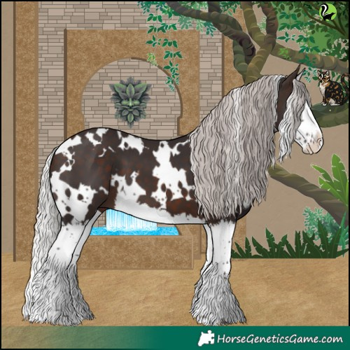 Horse Color:White Spotted Silver Brown Splash