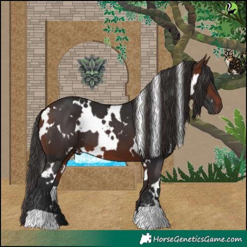 Horse Color:White Spotted Bay