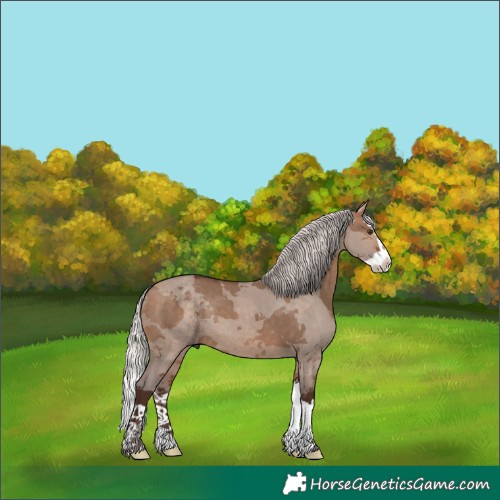 Horse Color:Silver Brown Dun Merle Splash Rabicano