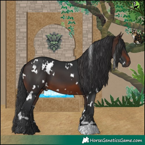 Horse Color:White Spotted Brown 