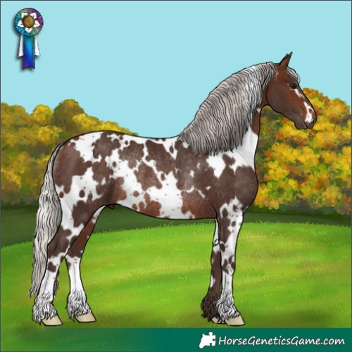Horse Color:White Spotted Silver Brown Rabicano