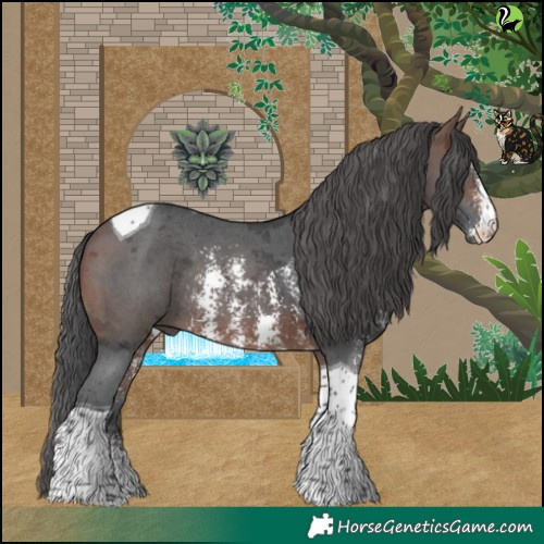 Horse Color:Brown Merle Sabino Tobiano Rabicano 