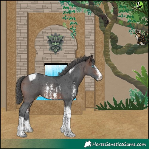 Horse Color:Brown Merle Sabino Tobiano Rabicano 