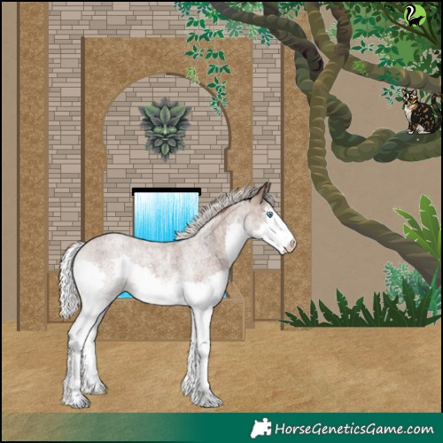 Horse Color:Silver Blue Roan Merle Splash Tobiano