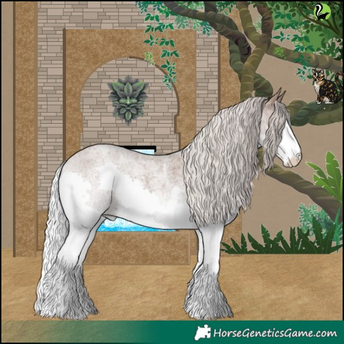 Horse Color:Silver Blue Roan Merle Splash Tobiano