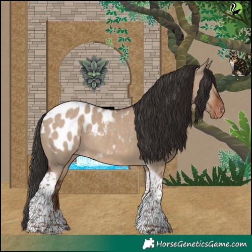 Horse Color:Liver Red Dun Tobiano Appaloosa