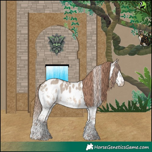 Horse Color:Liver Red Dun Splash Tobiano Appaloosa Rabicano 