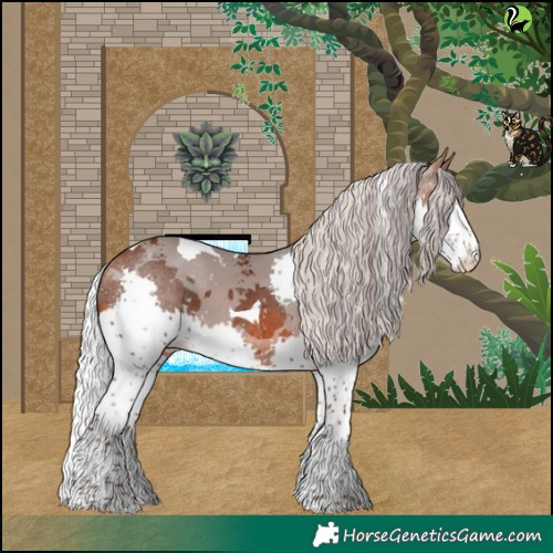 Horse Color:Silver Brown Merle Splash Tobiano
