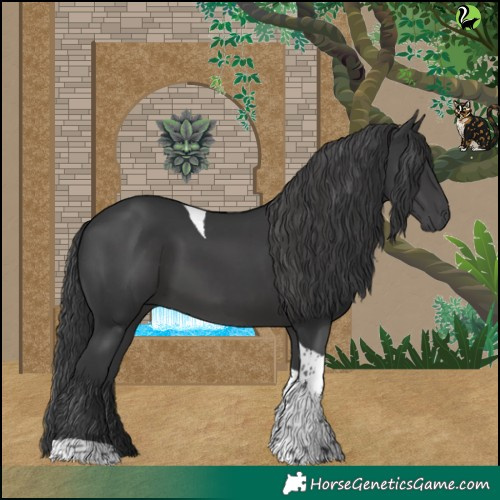 Horse Color:Black Tobiano 