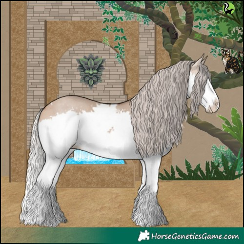 Horse Color:White Spotted Silver Brown Dun Splash 