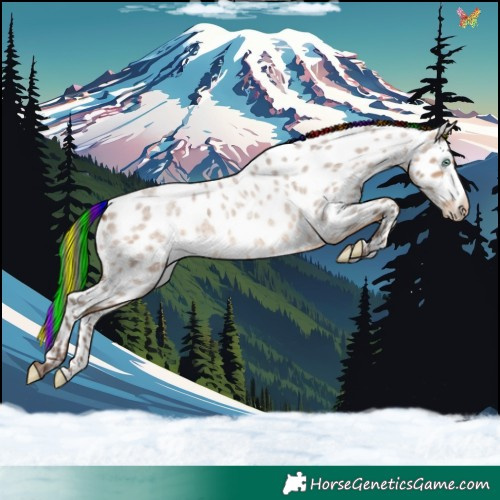 Horse Color:Painted Sable Champagne Roan Appaloosa 