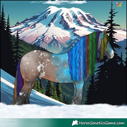 Horse Color:Painted White Spotted Bay Sabino 