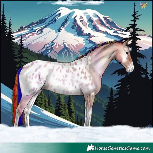 Horse Color:Painted Amber Champagne Roan Onyx Appaloosa 