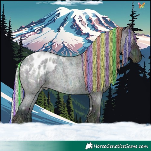 Horse Color:Painted Midnight Silver Blue Ice Roan Appaloosa