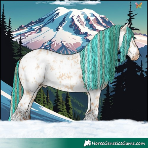 Horse Color:Painted White Spotted Red Dun Sabino Appaloosa 