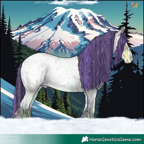 Horse Color:Painted Blue Ice Roan Appaloosa 