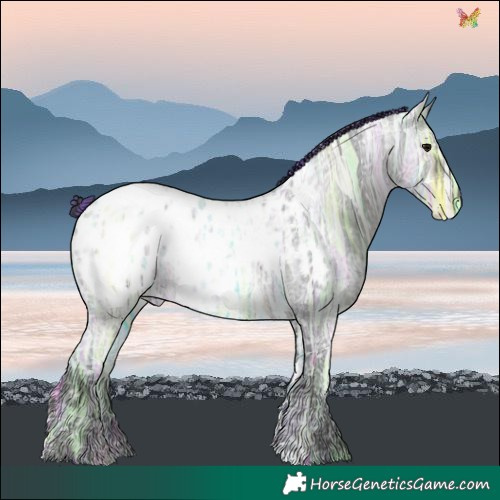Horse Color:Painted Blue Ice Roan Blanket 